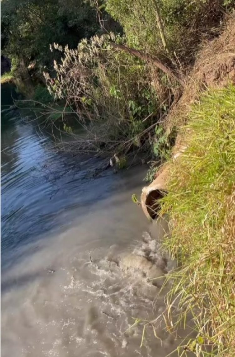 CRIME AMBIENTAL NA RETA DE SANTANENSE