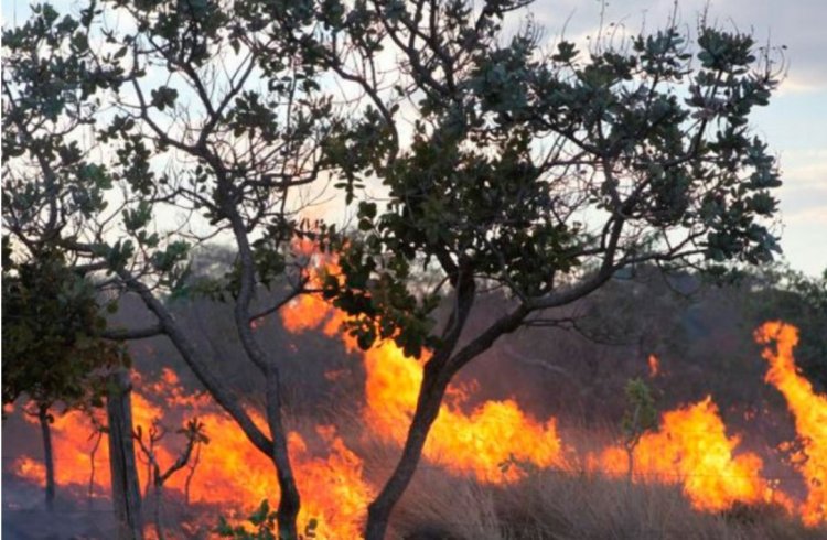 QUEIMADAS: Itaúna é a segunda colocada da região que mais coloca fogo em áreas verdes!