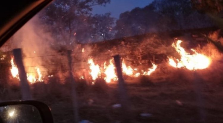 QUEIMADAS: Itaúna é a segunda colocada da região que mais coloca fogo em áreas verdes!