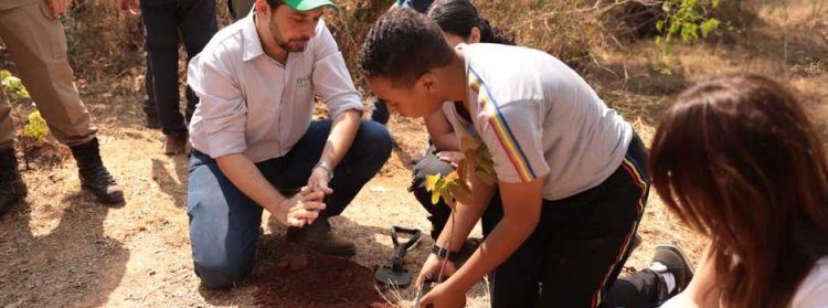 SEMANA FLORESTAL - Plantio de árvores em todos os municípios