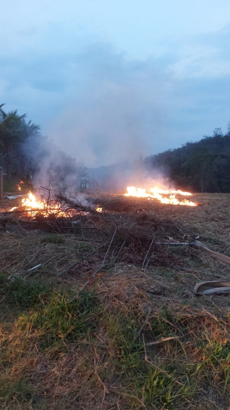 Homem coloca fogo em folhas de coqueiro e causa incêndio