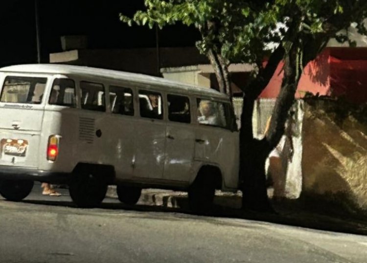 Kombi bate em árvore  e mulher fica ferida