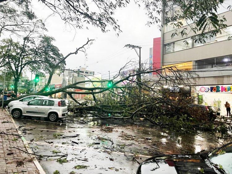 Previstos mais de 120 mm. de chuvas em Itaúna