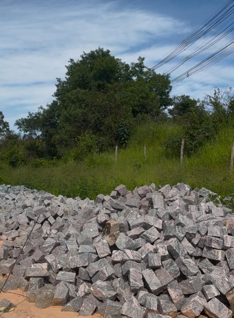 NO MEIO DO CAMINHO  TINHA UMA PEDRA...